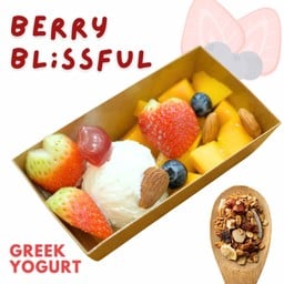 berry blissful greek Yogurt Y1