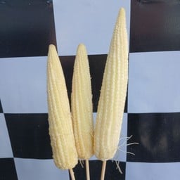 IN TIME สั่งได้