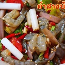 กินยำกันโลตัสบางปู