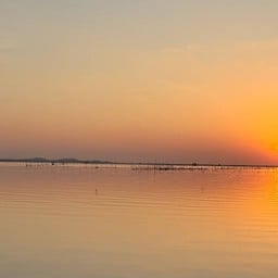 สะพาน ไม้ไผ่บางทราย