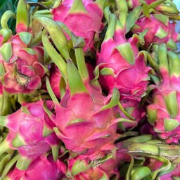 แก้วมังกรเนื้อแดง 1 ลูก