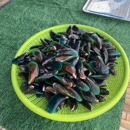 ปลาเผา ป.ประมง