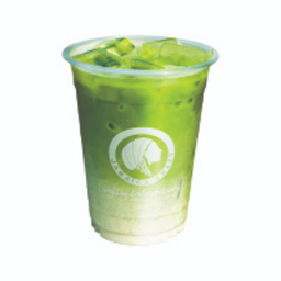 Iced Matcha Latte
