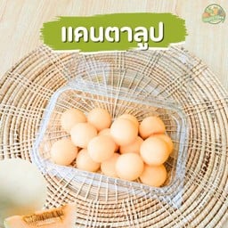 แคนตาลูป หวาน