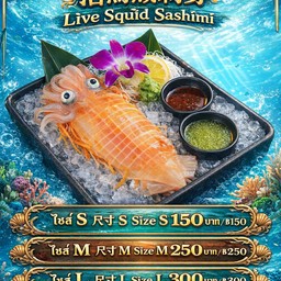 หมึกกล้วยเป็นๆหั่นซาซิมิ ไซร์M ขนาด5-6นิ้ว 1ตัว