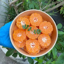 ส้มซาถัง