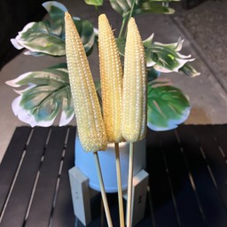 หมีอ้วน หม่าล่า