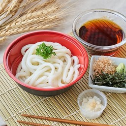 ซารุอุด้ง