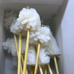 Flower squid (ปลาหมึก)