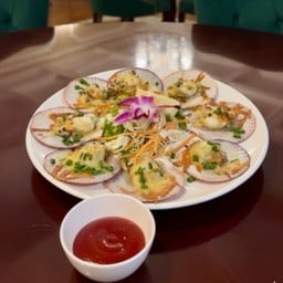 หอยเซลล์อบซีส