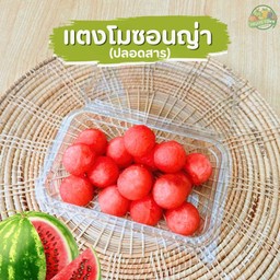 แตงโมซอนญ่า (ปลอดสาร) หวาน ฉ่ำ