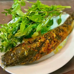 ปลาดุกย่างสมุนไพร (เผ็ด)