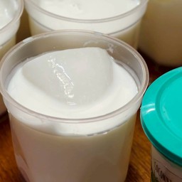 พุดดิ้งมะพร้าวอ่อน