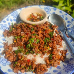 Stir Fried Basil With Minced Beef On Rice