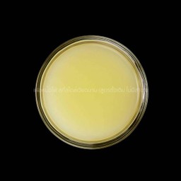 สั่งน้ำมะนาวเพิ่มพิเศษ