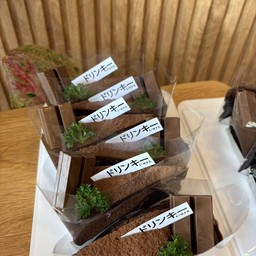 เค้ก ช็อกโกแลตฟัจด์