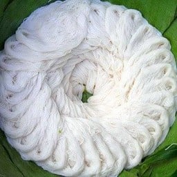 เส้นขนมจีนเปล่า