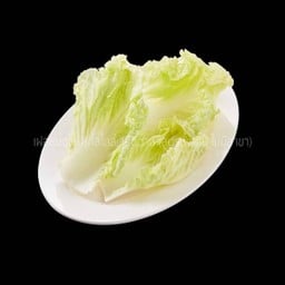 ผักกาดขาว (Chinese Cabbage)