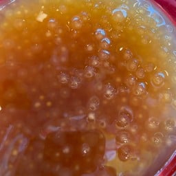 เฮงปังปั๊ว หวานเย็นสูตรเด็ดเยาวราช  ปตท.ดีบี หนองปลาหมอ สระบุรี