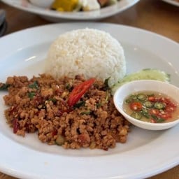 DL ข้าวกะเพราหมูสับ