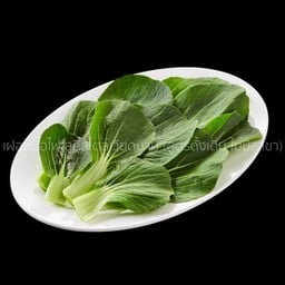 เบบี้กวางตุ้ง (Baby Bok Choy)