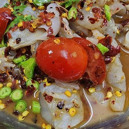 (S9)เกาหลาแมงกะพรุน