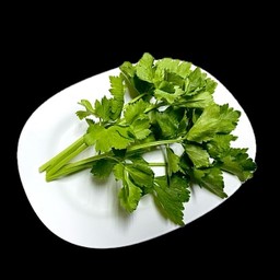 ขึ้นฉ่าย (Celery)