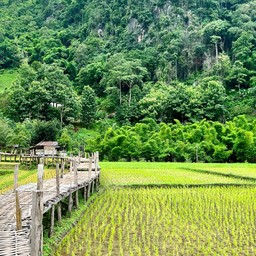 วัดนาคูหา แพร่