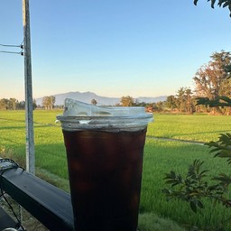 กาแฟสด เจ้าเอย