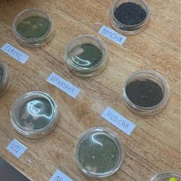 ตัวเลือก