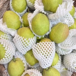 สาลี่หอม 1 แพ็ค