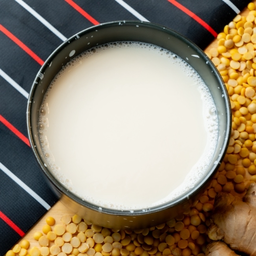 น้ำเต้าหู้ขิง.