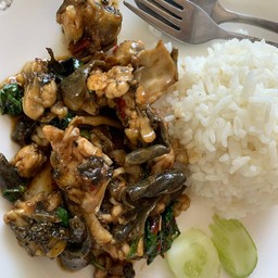 กะเพรากบ