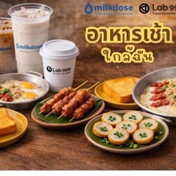 มิลค์โดส Milkdose พันท้ายนรสิงห์