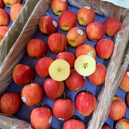 กาล่า U.S.Aเป็นลูก