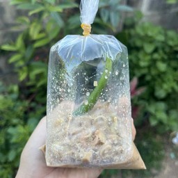 ส้มตำเจ้แจง กม.6