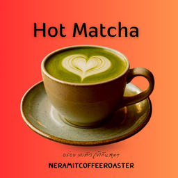 มัจฉะร้อน