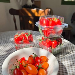 มะเขือเทศออแกนิก ( หวานมาก )