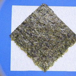 สาหร่ายแผ่น