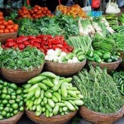 บ้านผักสด 1