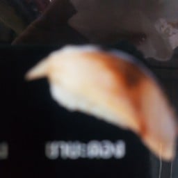 ตะวันอาหารญี่ปุ่นตาลเดี่ยว