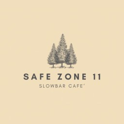 SAVE ZONE11
