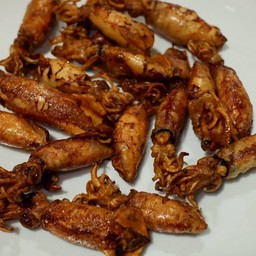 หมึกกระตอยแดดเดียว