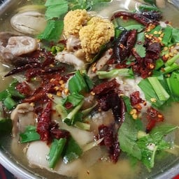 ต้มยำปลาช่อน