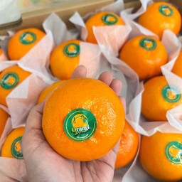 อร่อยมากกกกก รสชาติเข้มข้น