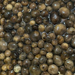 เห็ดเผาะหนังอ่อน(ต้มแล้ว)500กรัม