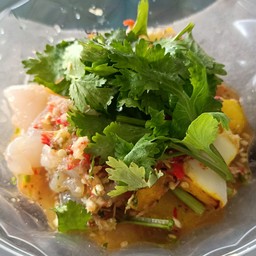 ปลาหมึกรวมแมงกะพรุนย่าง