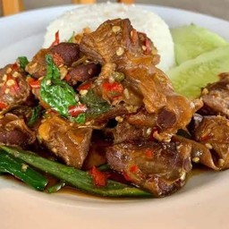 กระเพราหมูตุ๋นราดข้าว