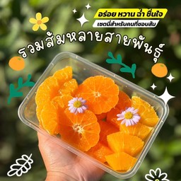 รวมส้มหลายสายพันธุ์ (กล่องพลาสติก)
