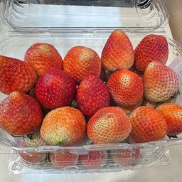 สตอเบอร์รี่พันธุ์ 80 กล่อง